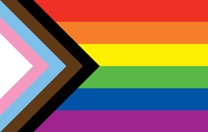 Progress Pride Inclusive Rainbow Flag - Outdoor Nylon